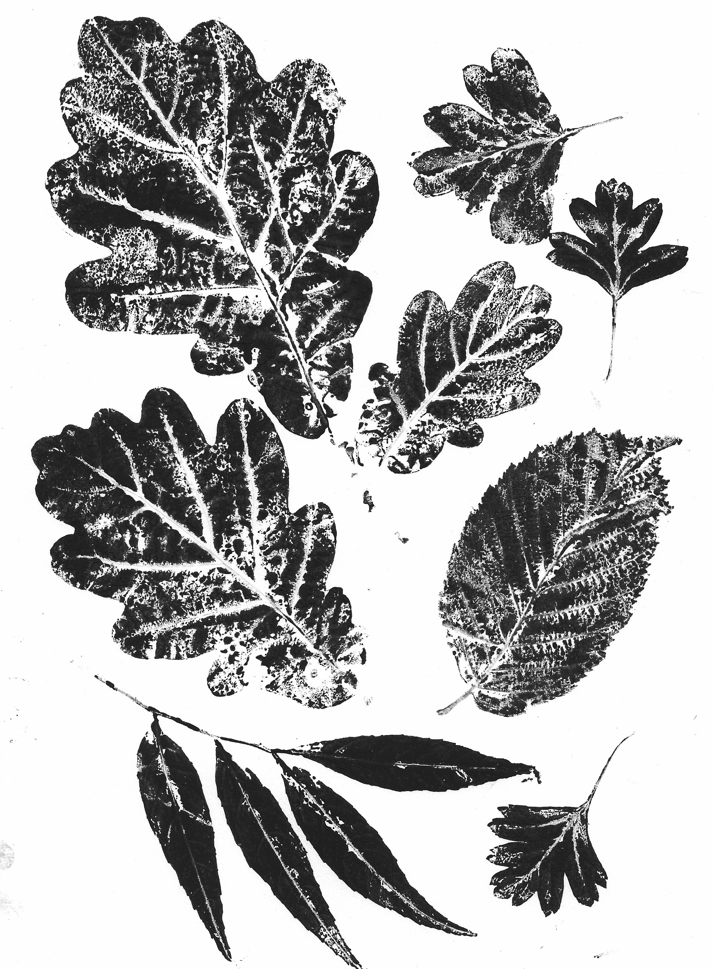 Printing with Leaves